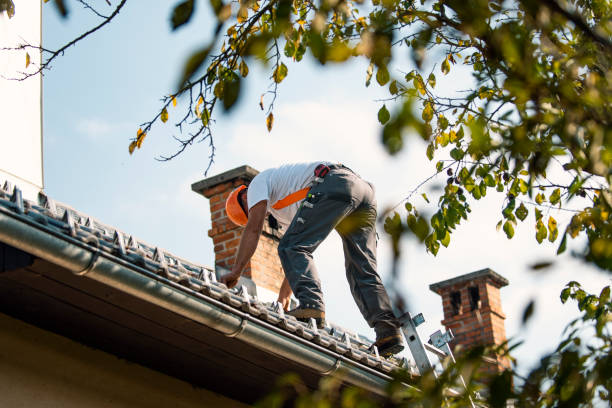 Quick and Trustworthy Emergency Roof Repair Services in Williamstown, NJ
