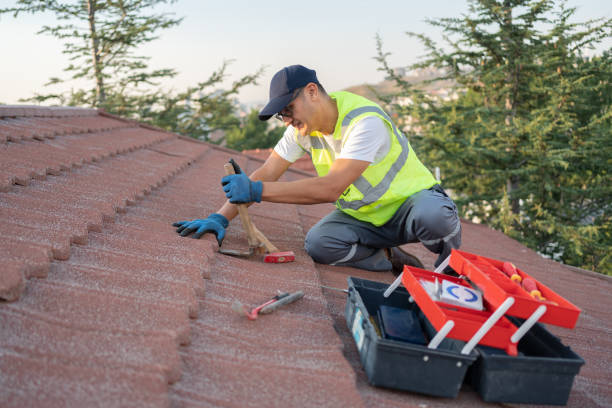 Best Storm Damage Roof Repair  in Williamstown, NJ